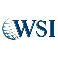 WSI Smart Marketing image 1
